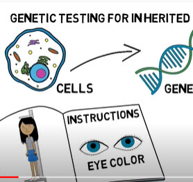 Captura de pantalla del vídeo -- Pruebas genéticas para el cáncer