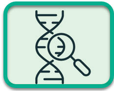 Ilustración de las pruebas genéticas